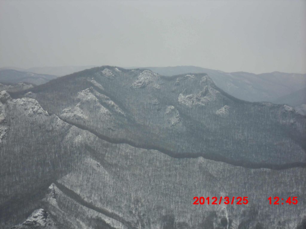 CIMG0600.jpg