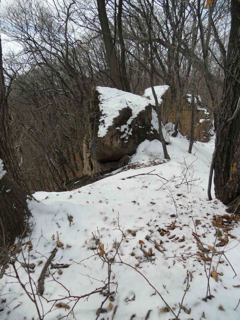 p 037.jpg