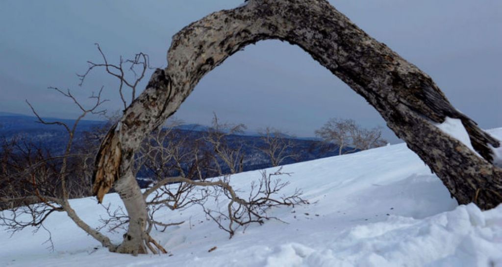 nEO_IMG_�ʵǴ�ͺ���ӣ�2012.3.4�� 468.jpg