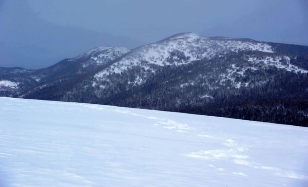 nEO_IMG_�ʵǴ�ͺ���ӣ�2012.3.4�� 556.jpg