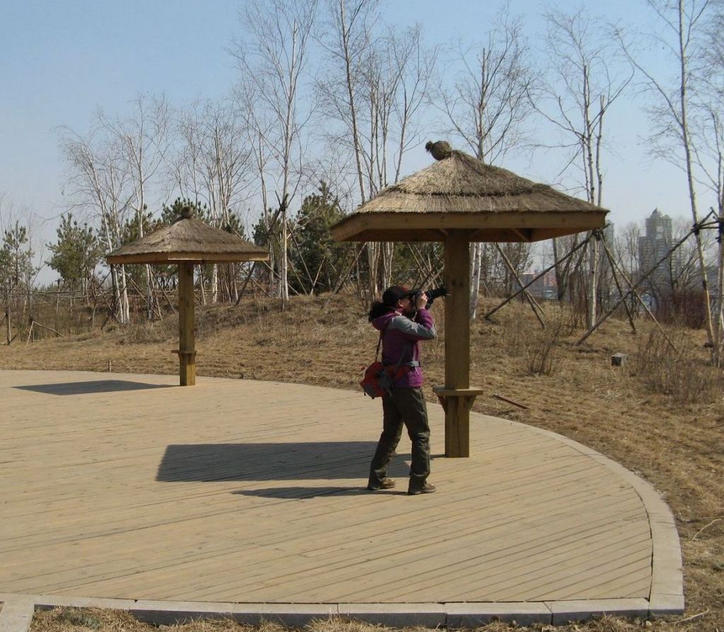 ���� ���� IMG_1447.jpg