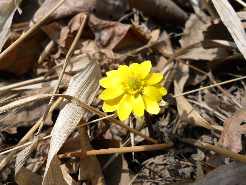 ��ȪС�뱱�ߴ�Խ 012.jpg