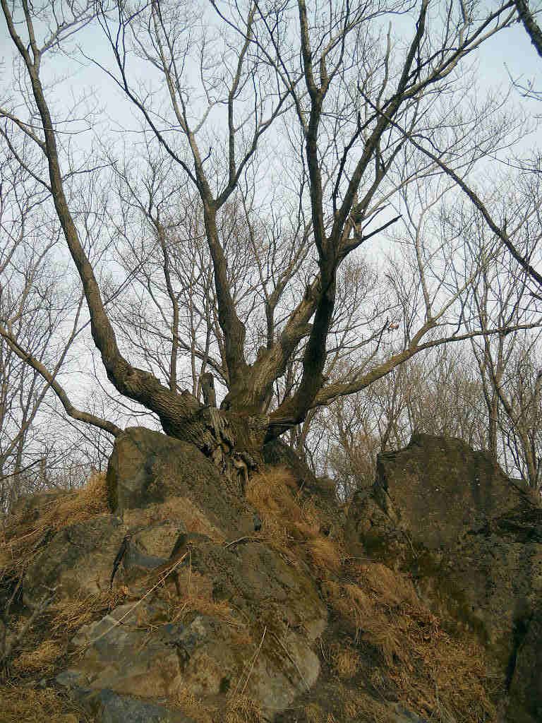 ��ȪС�뱱�ߴ�Խ 118.jpg