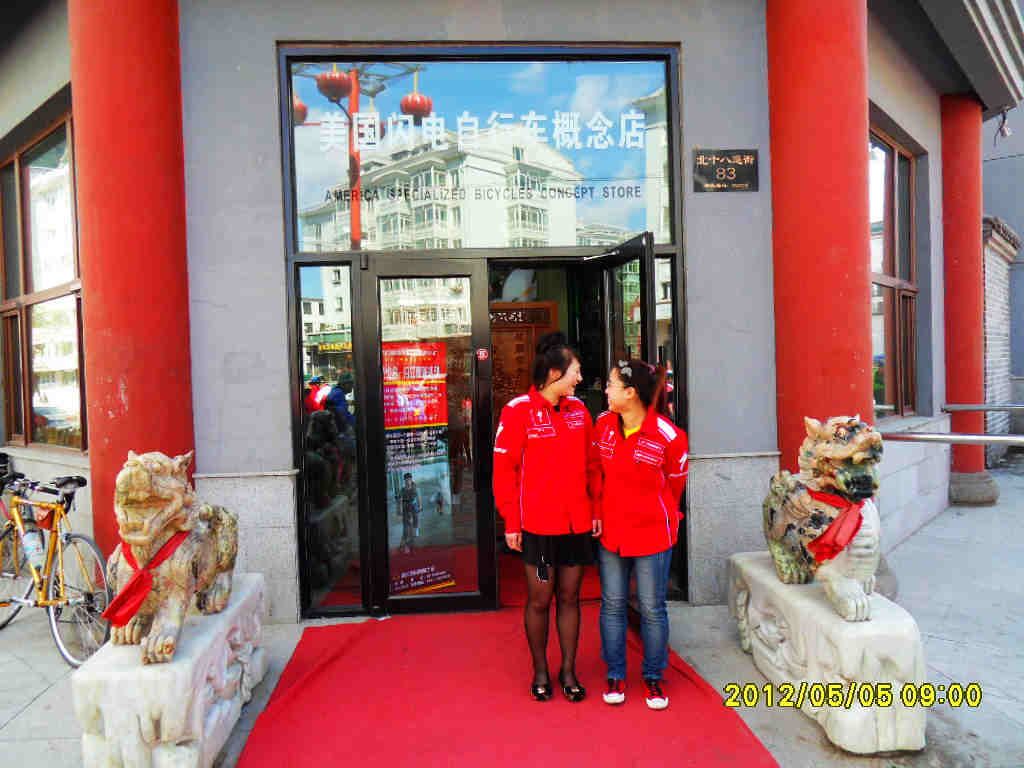 ��ü����