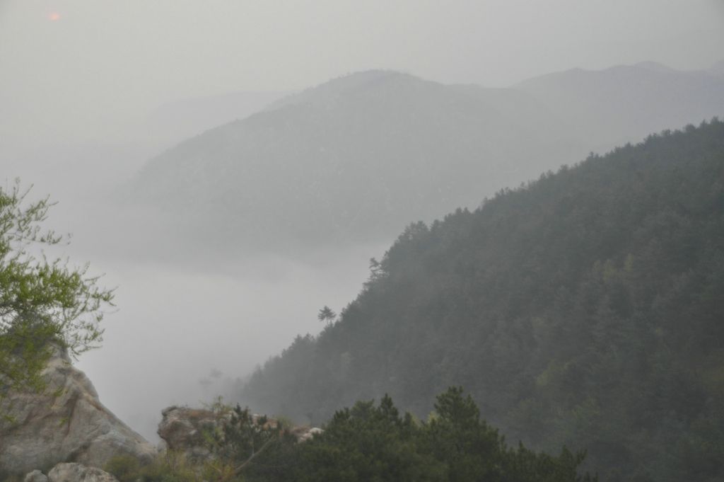 DSC_0244.JPG
