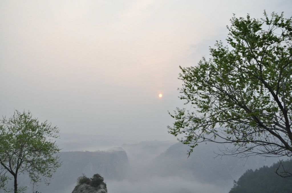 DSC_0306.JPG