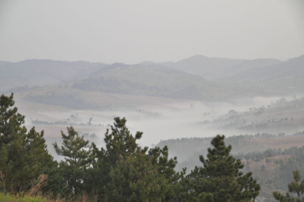 DSC_0355.JPG