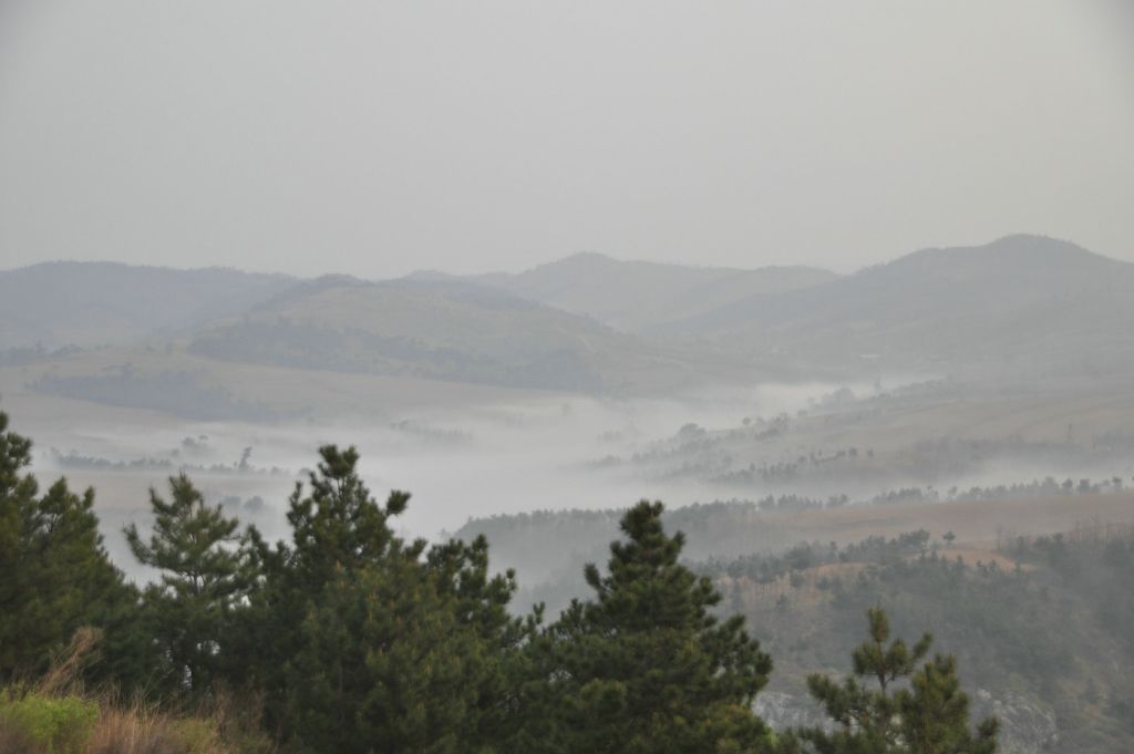 DSC_0356.JPG