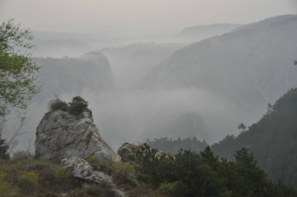 DSC_0333.JPG