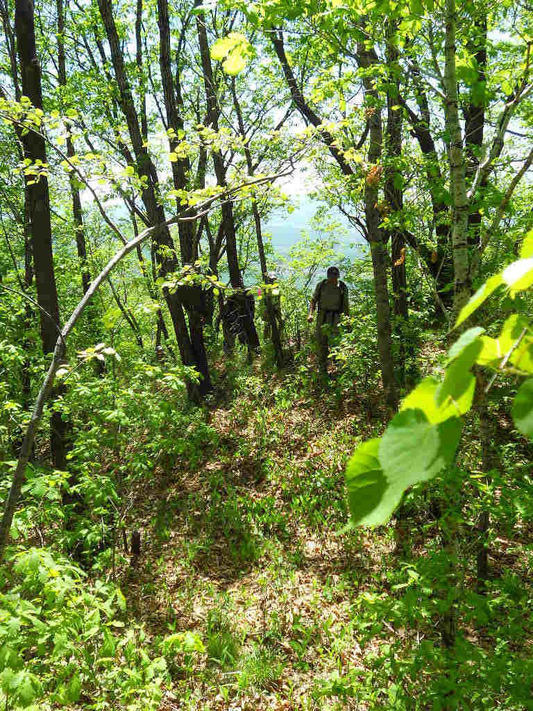p 027.jpg