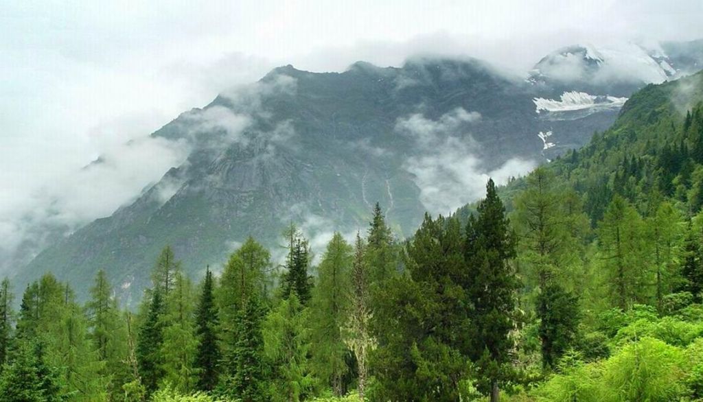 ��ƺ�� 2.jpg