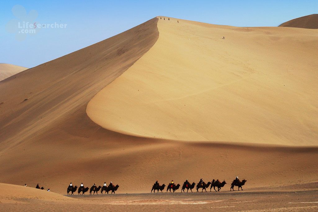 ���̲ ��ɳɽ4.jpg