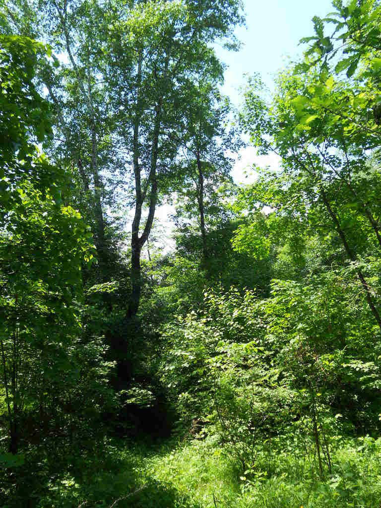 602С�����߻�ɽ��Խ 010.jpg