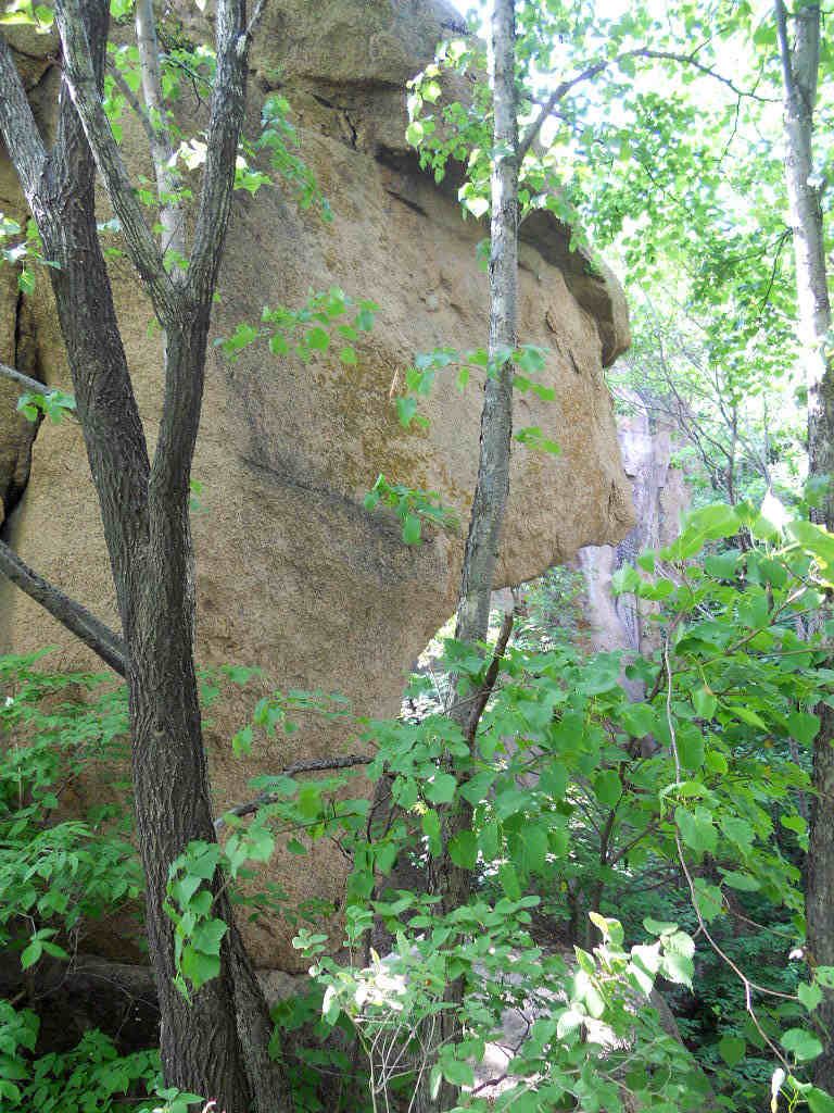 602С�����߻�ɽ��Խ 073.jpg