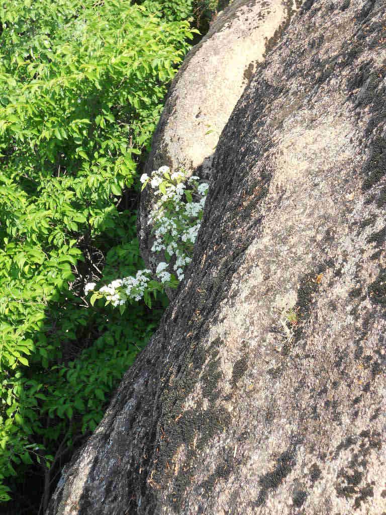 602С�����߻�ɽ��Խ 083.jpg