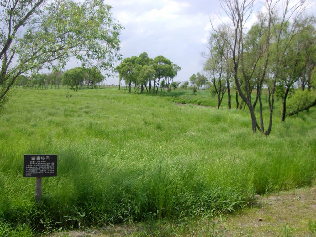 CIMG7909.jpg