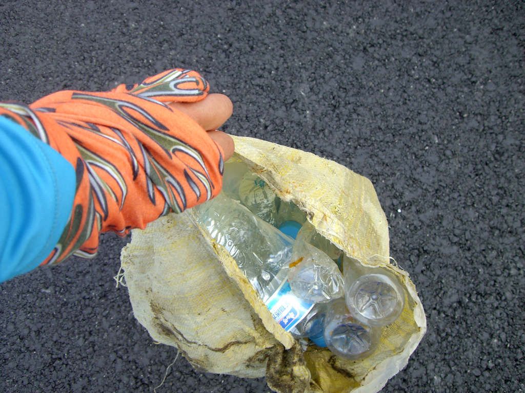 CIMG7986.jpg
