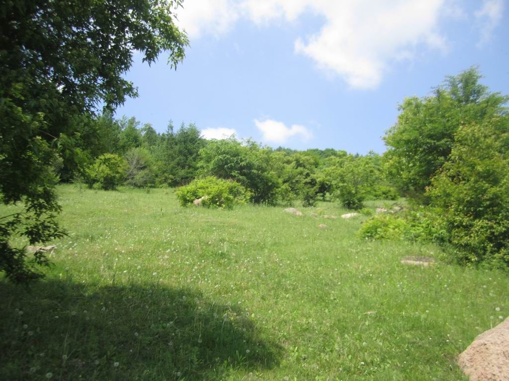 ������С IMG_6716.JPG