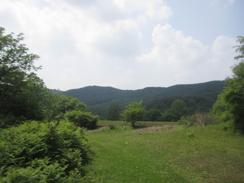 ������С IMG_6721.JPG