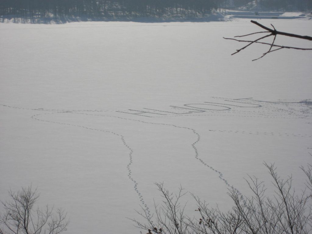IMG_5669.JPG