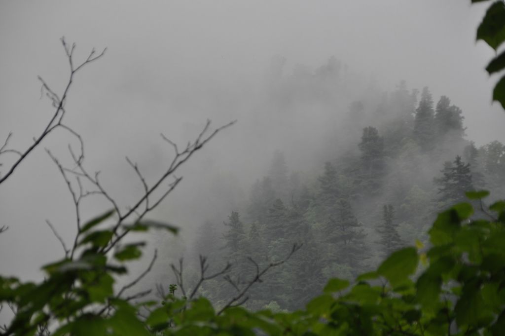 DSC_0878.JPG