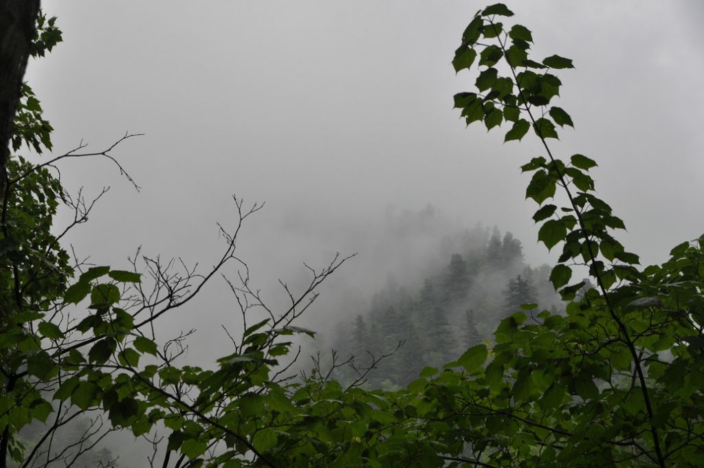 DSC_0879.JPG