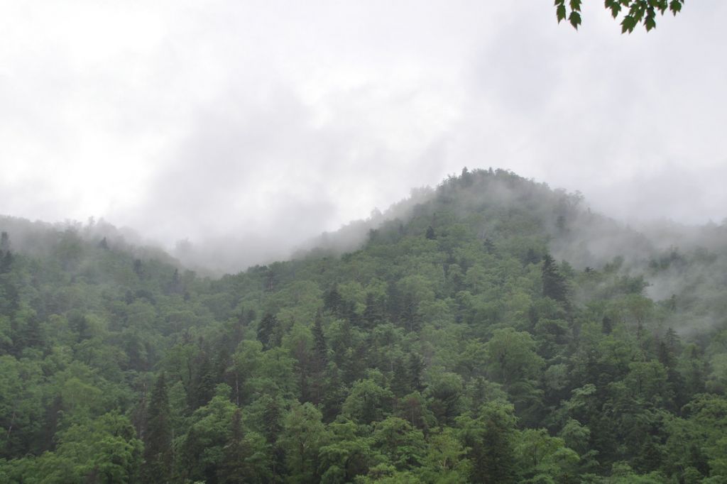 DSC_0890.JPG