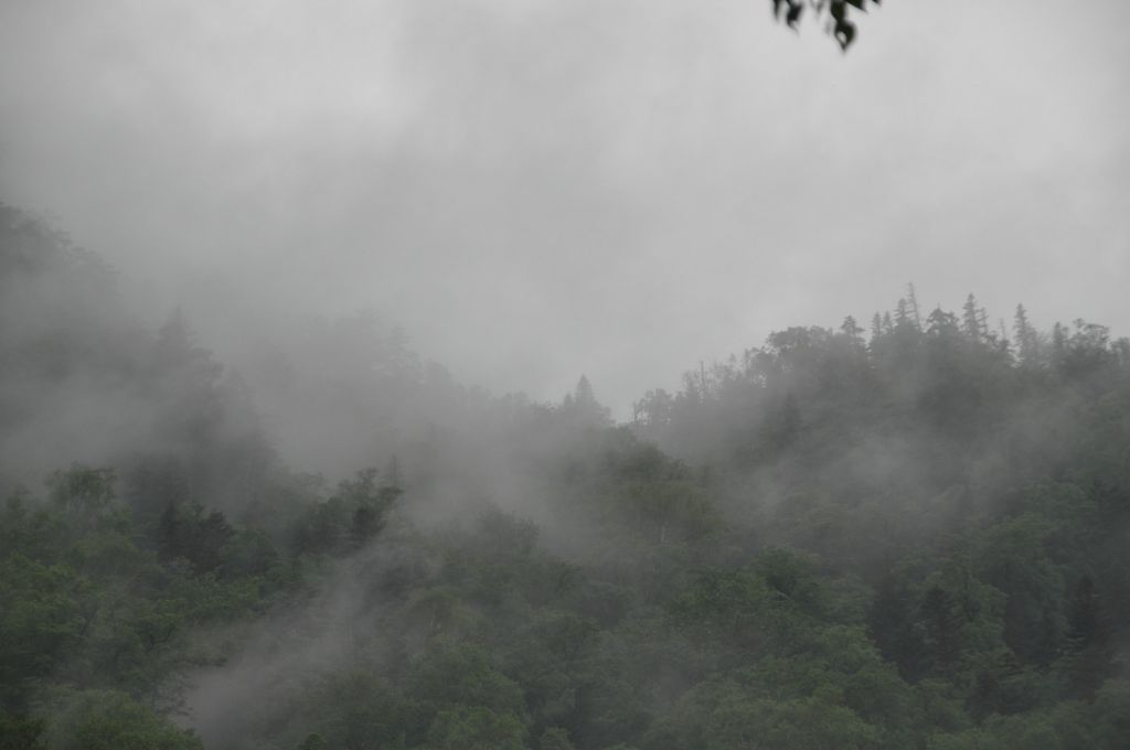 DSC_0896.JPG