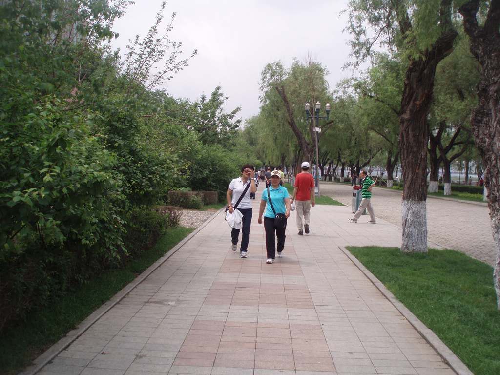 P1010031.jpg
