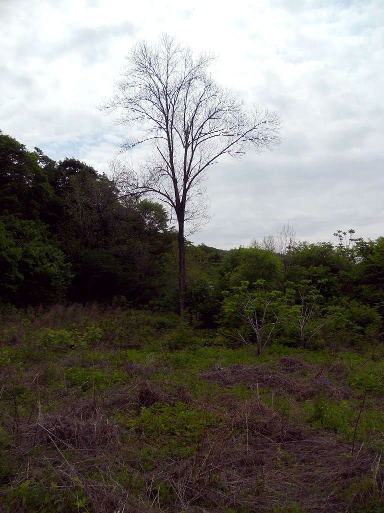 5 26С��--��Ȫ���� 014.jpg