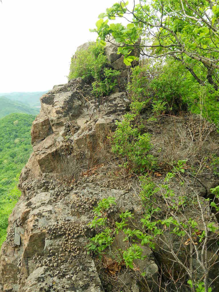 5 26С��--��Ȫ���� 076.jpg