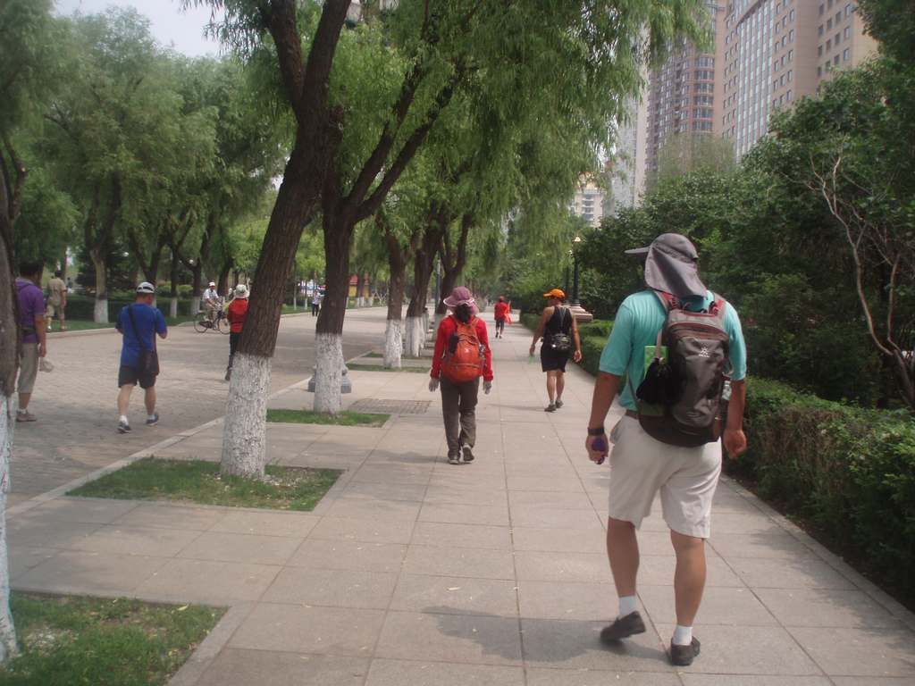 P1010032.jpg