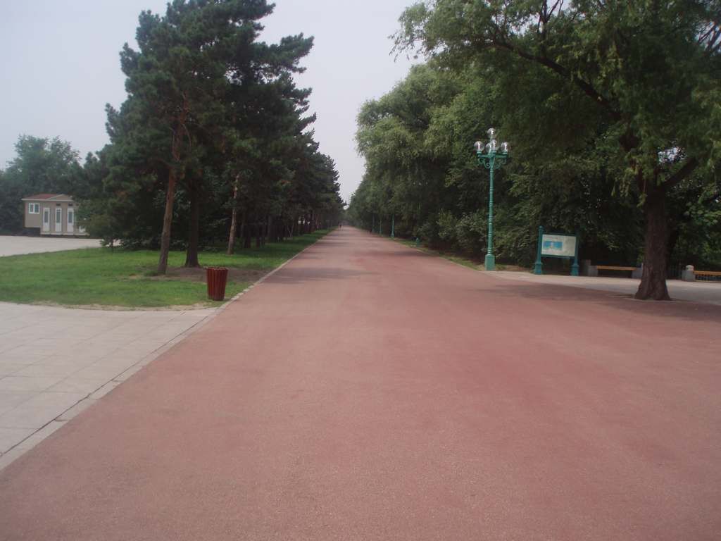 P1010023.jpg