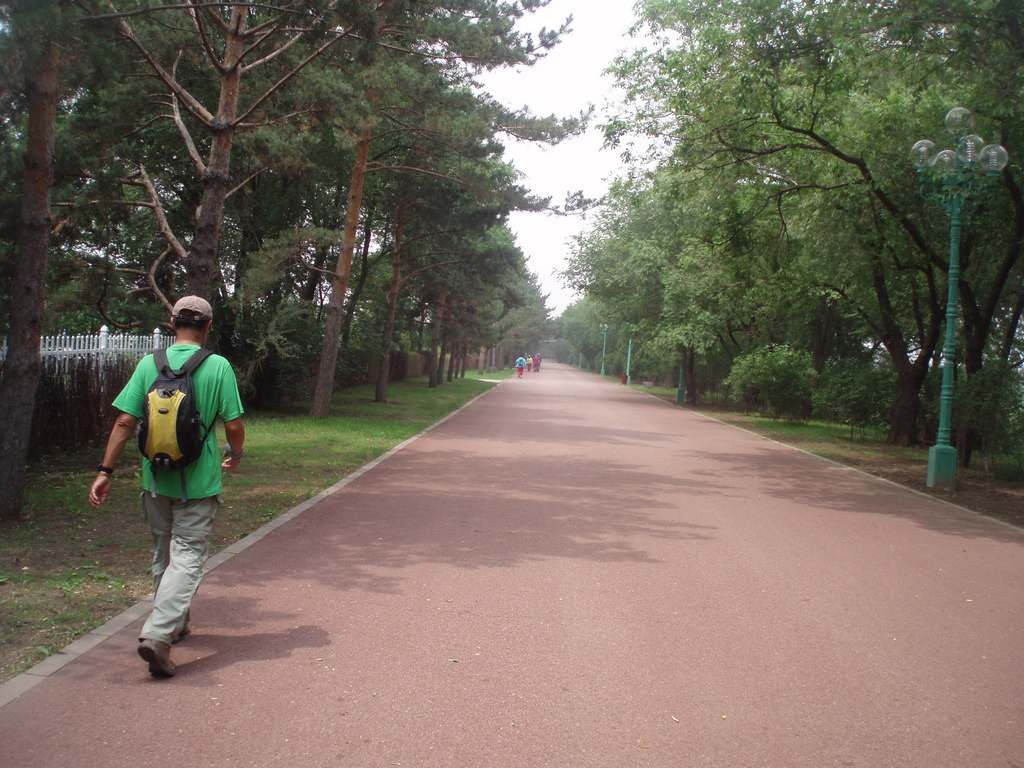 P1010014.jpg