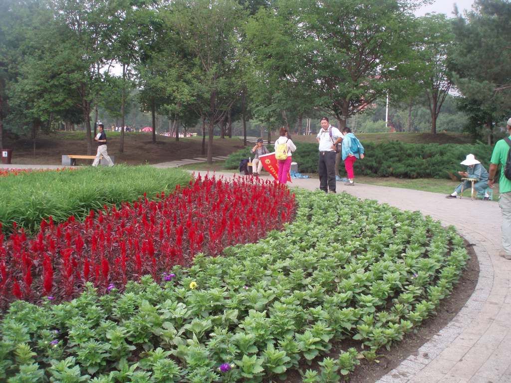 P1010027.jpg