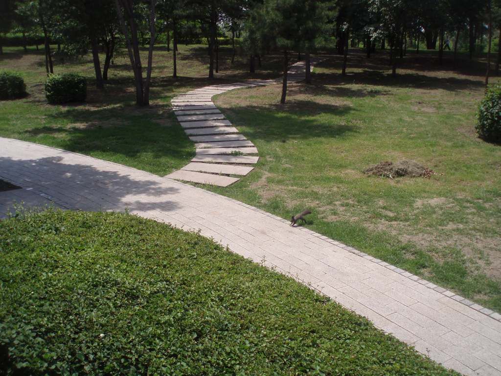 P1010007.jpg