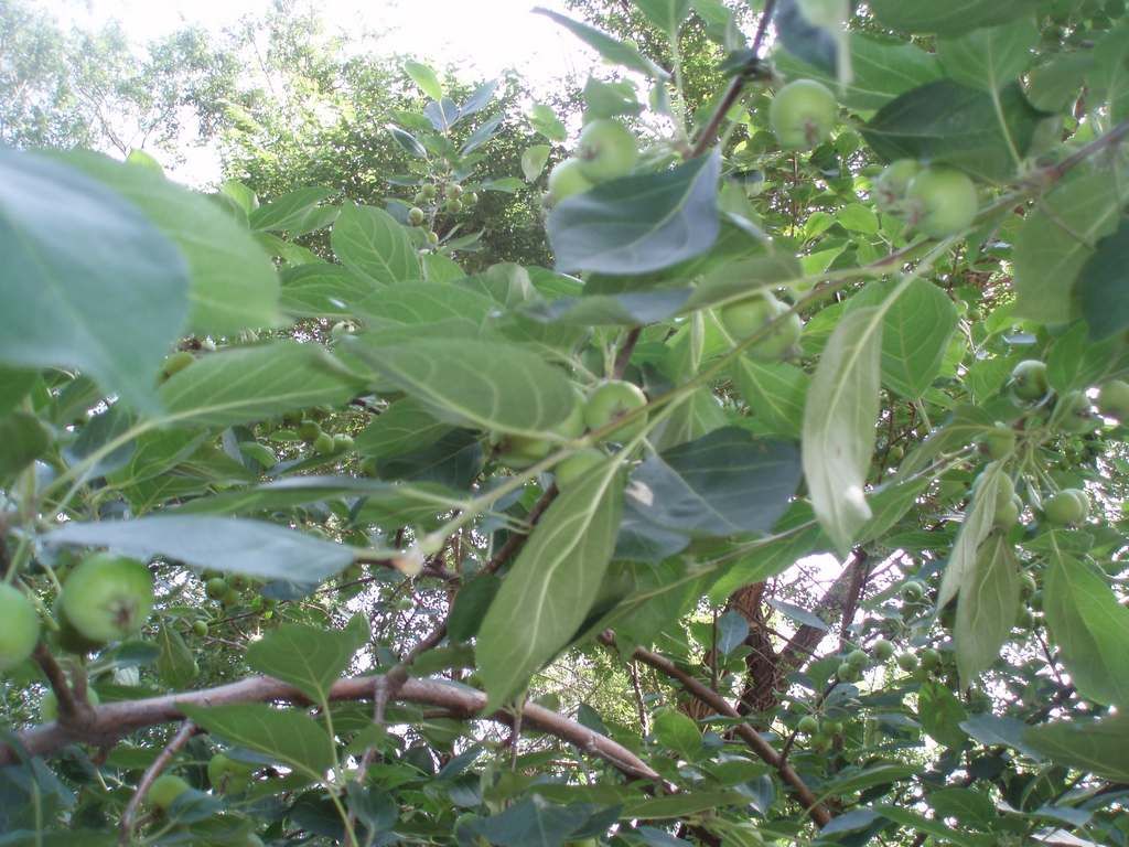 P1010001.jpg