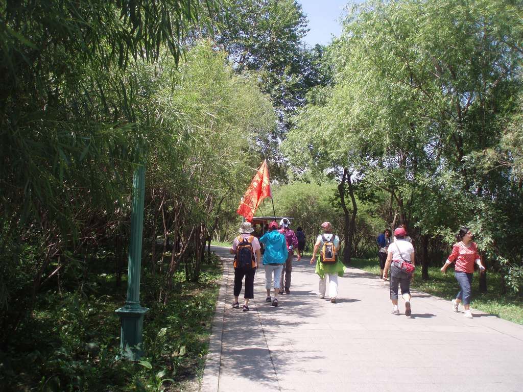 P1010053.jpg