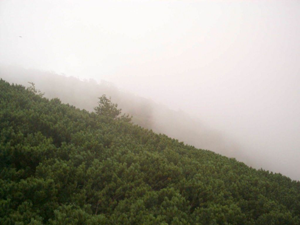 ע�����Ͻǡ�