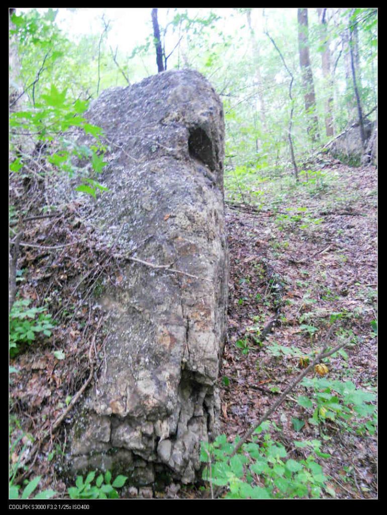 nEO_IMG_ƽ��ɽ 094.jpg