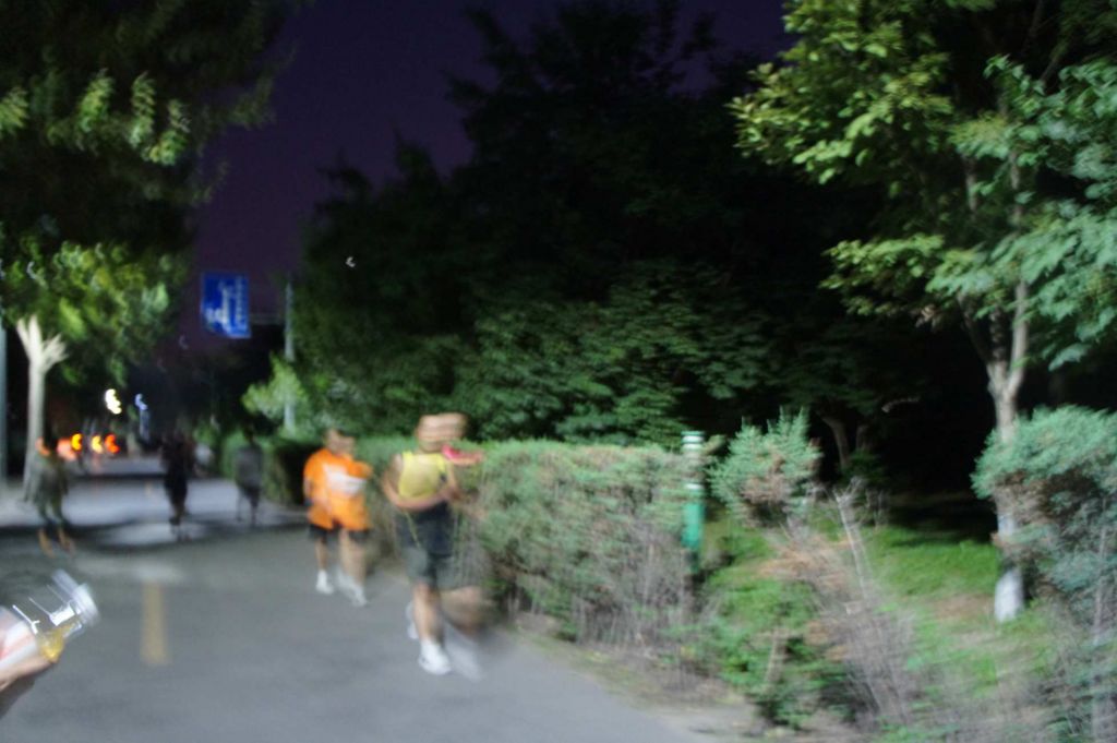 DSC02801.jpg