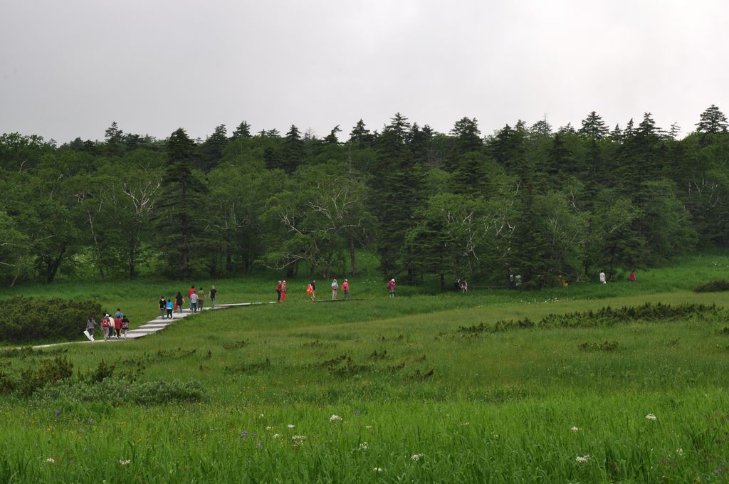 DSC_0312.jpg