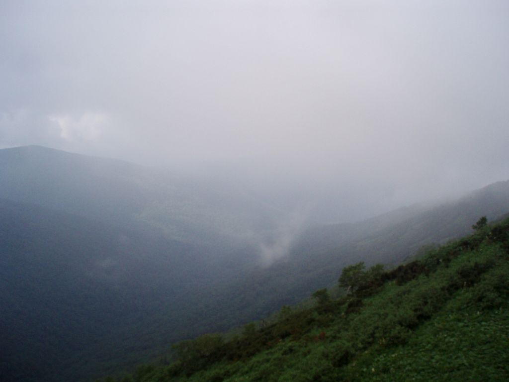 P1010115.jpg