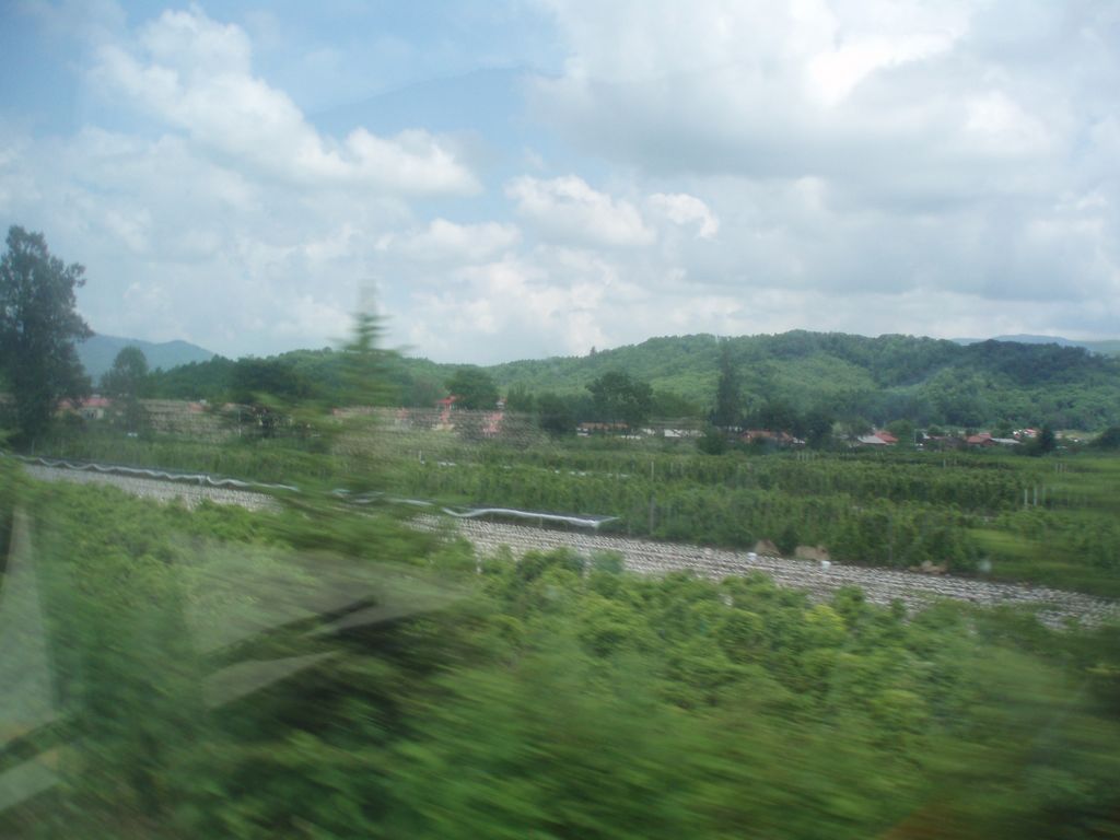 P1010131.jpg