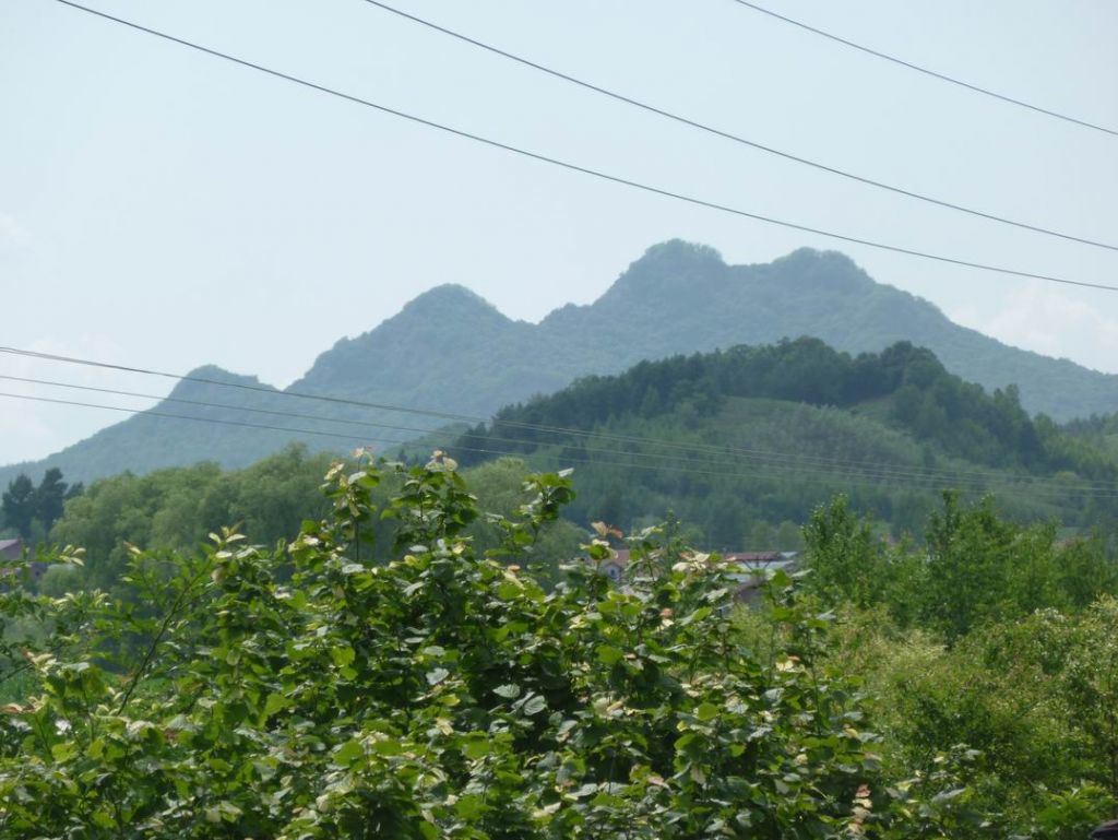 ������С P1070371.JPG