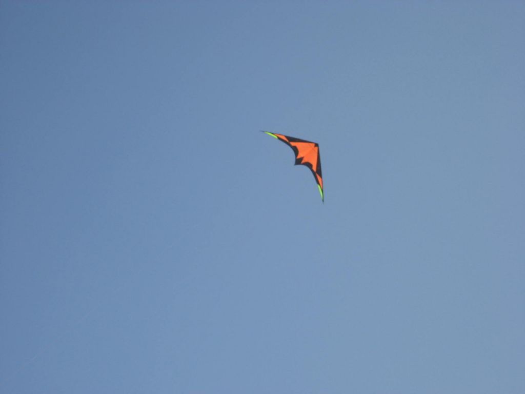 IMG_5844.JPG