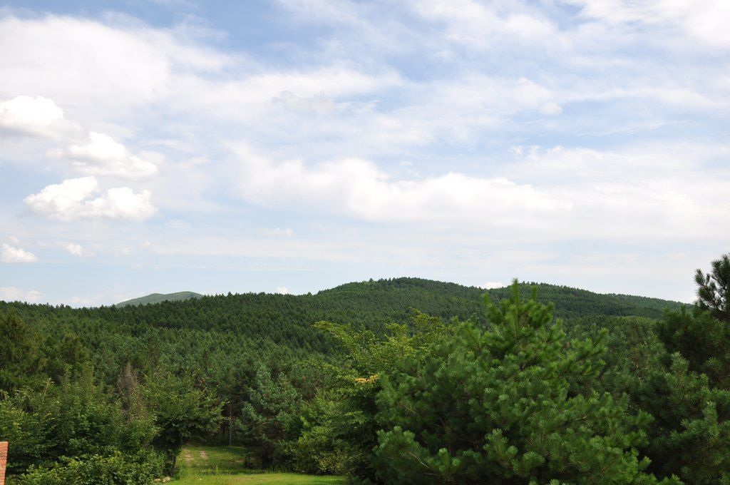 DSC_0012.jpg
