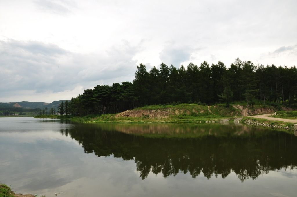 DSC_0040.jpg