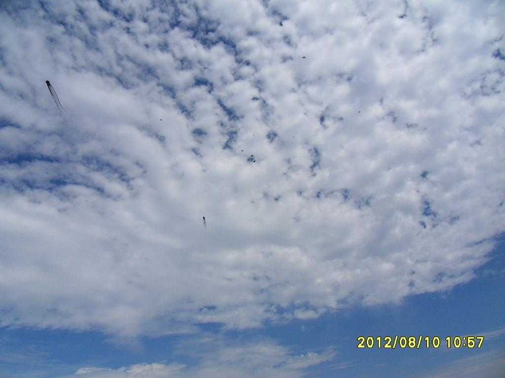 SDC11110.jpg