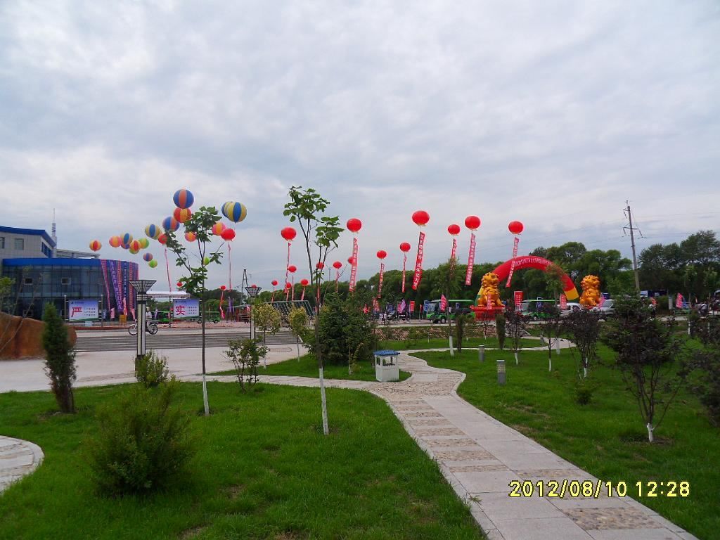 SDC11147.jpg